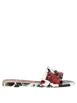 Bianca Slide