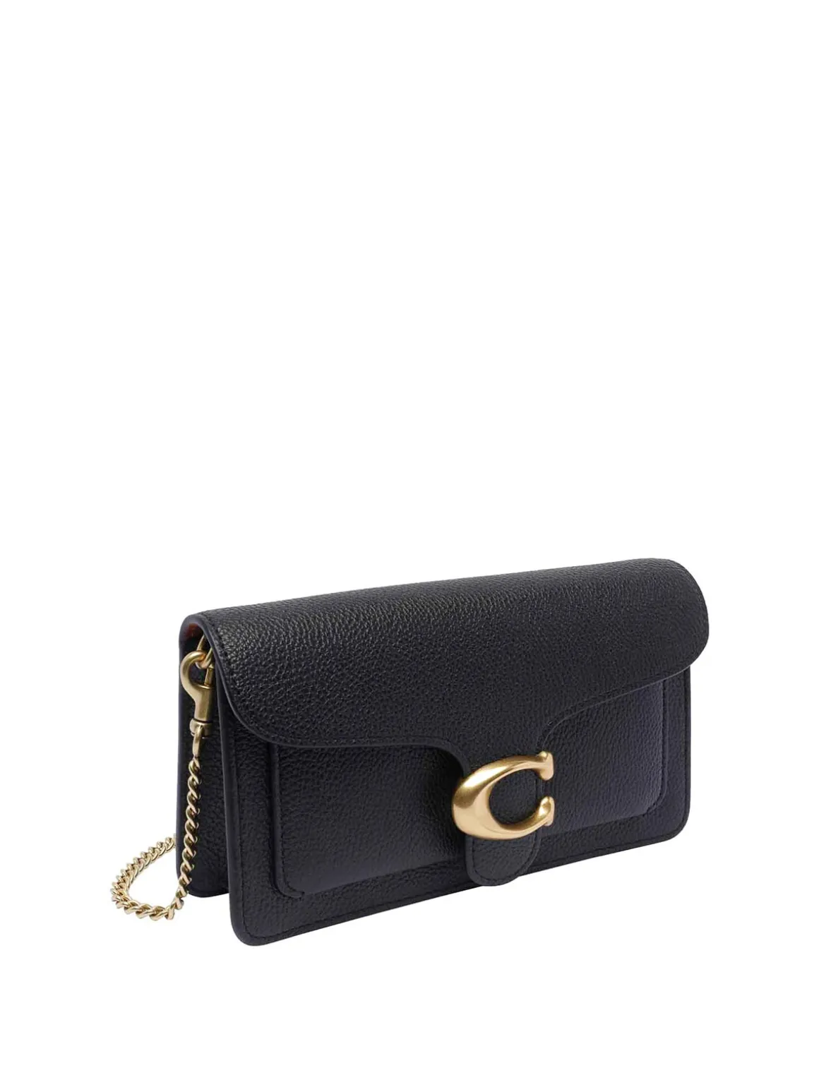 Black Tabby Pochette