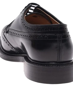 Derby brogue Grafton