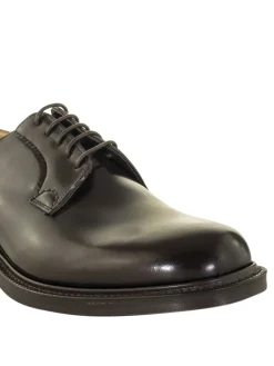 Derby Shannon in pelle spazzolata marrone