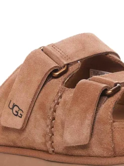 Goldenstar HI Slides
