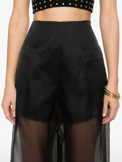 I miei pantaloni pantaloni semi-sheer in seta