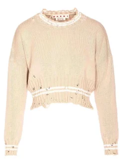 Maglione rosa rotonde