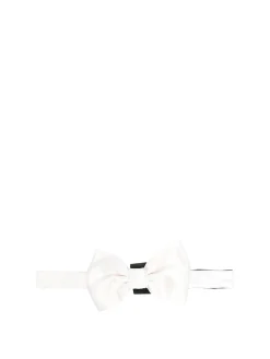 Papillon in seta