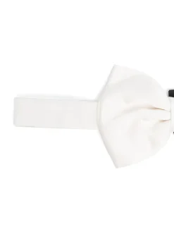Papillon in seta