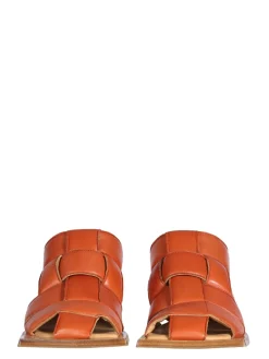 Sabot Mayte