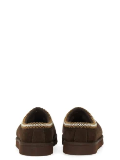 Sabot Tasman
