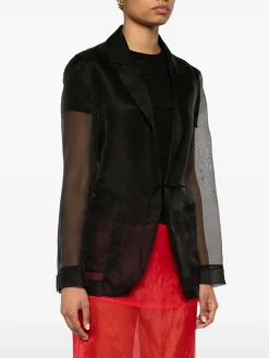 Semi-Sheer Blazer