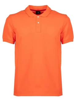 Shirt polo zebra