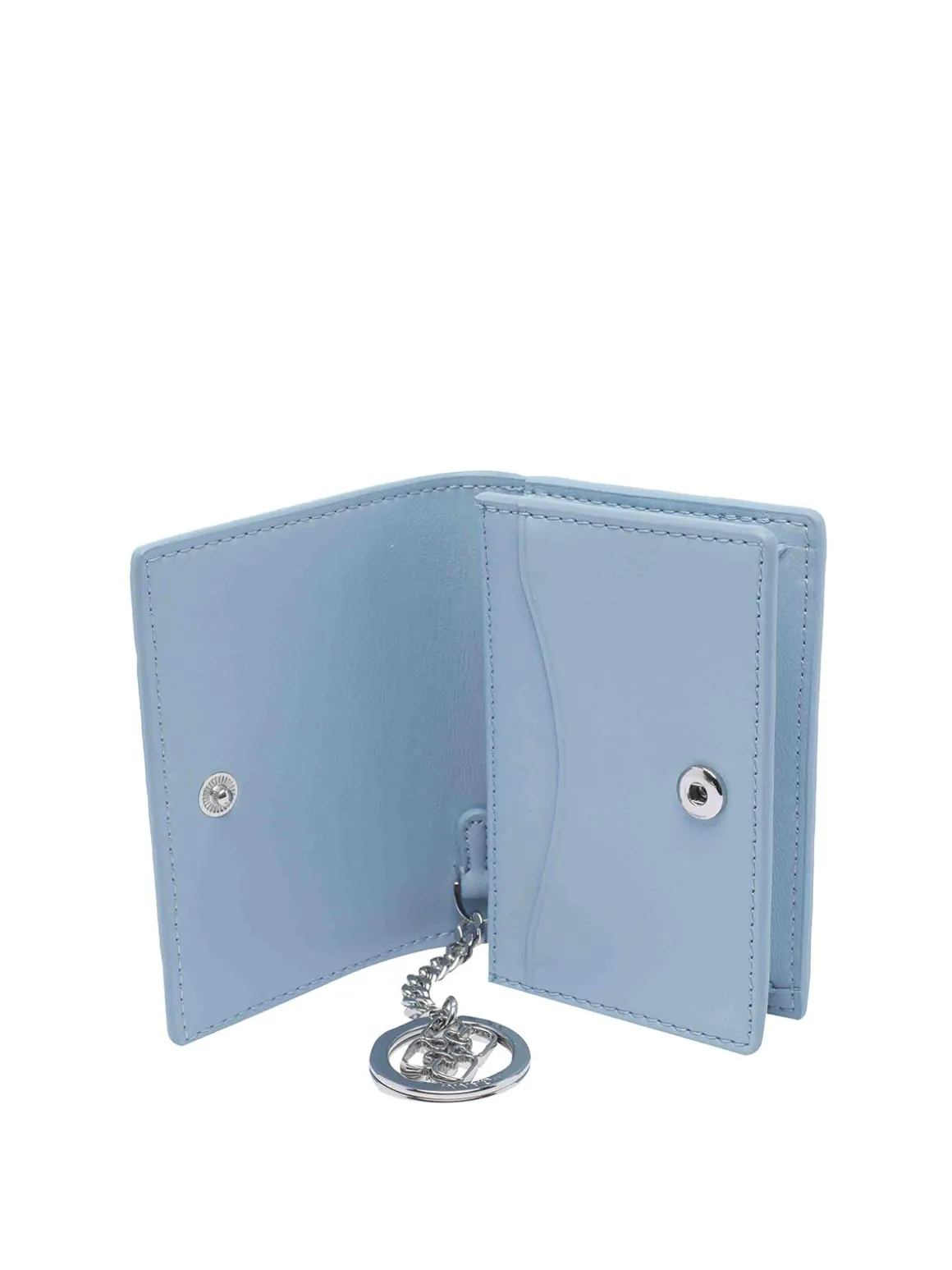Titolare delle carte animali blu azzurro