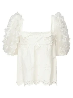 Top daisy